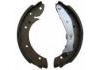 Brake Shoe Set:4241.4J