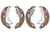 Bremsbackensatz Brake Shoe Set:77362295